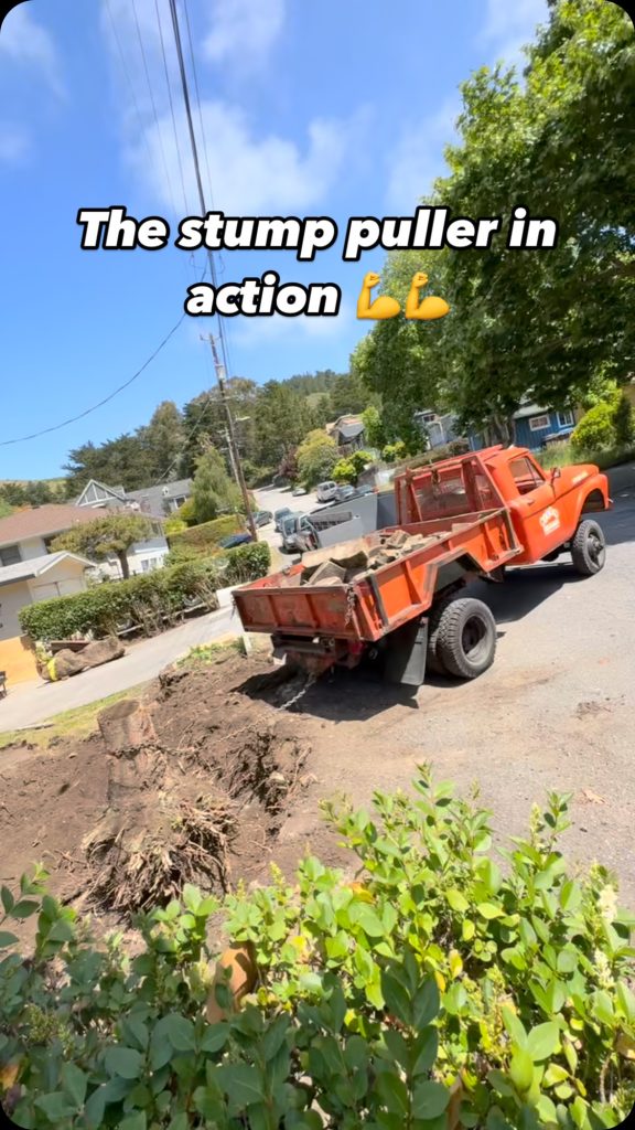 Hauling and Junk Removal in Pacifica, CA Hauling and Junk Removal in Pacifica, CA